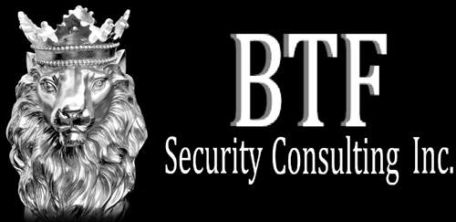 BTF Security Consulting Inc Logo