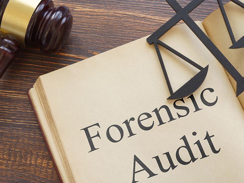 Forensic Auditing