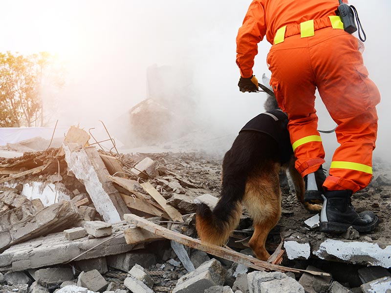 Search & Rescue Team
